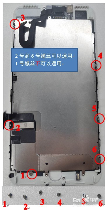 苹果iphone 7 plus拆机换屏教程