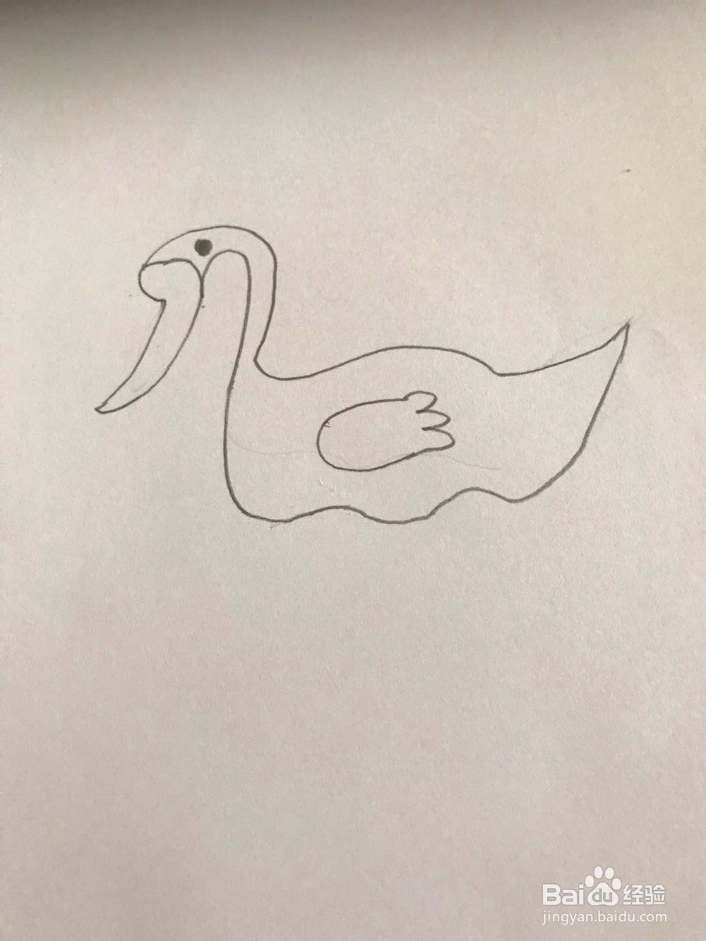 小天鹅的简笔画的画法