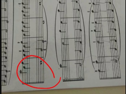 五线谱中的问题双线一粗一细代表什么意思、