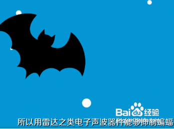 如何驱赶蝙蝠