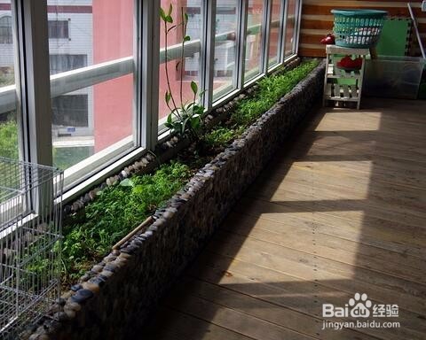 绿意无限精心装置小阳台