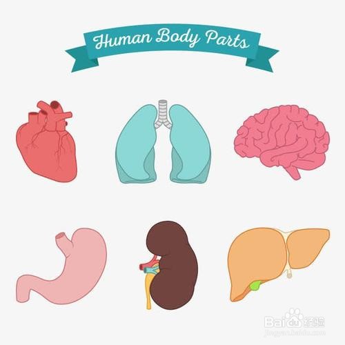 吃乌塌菜对身体有什么好处?