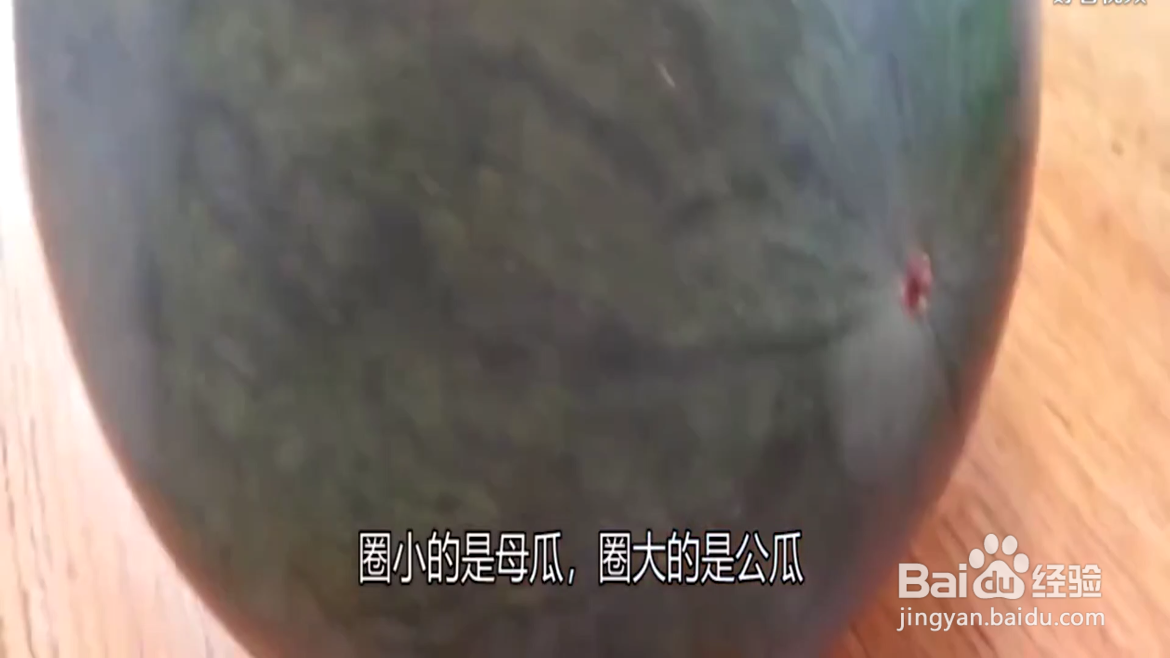 如何挑选西瓜？