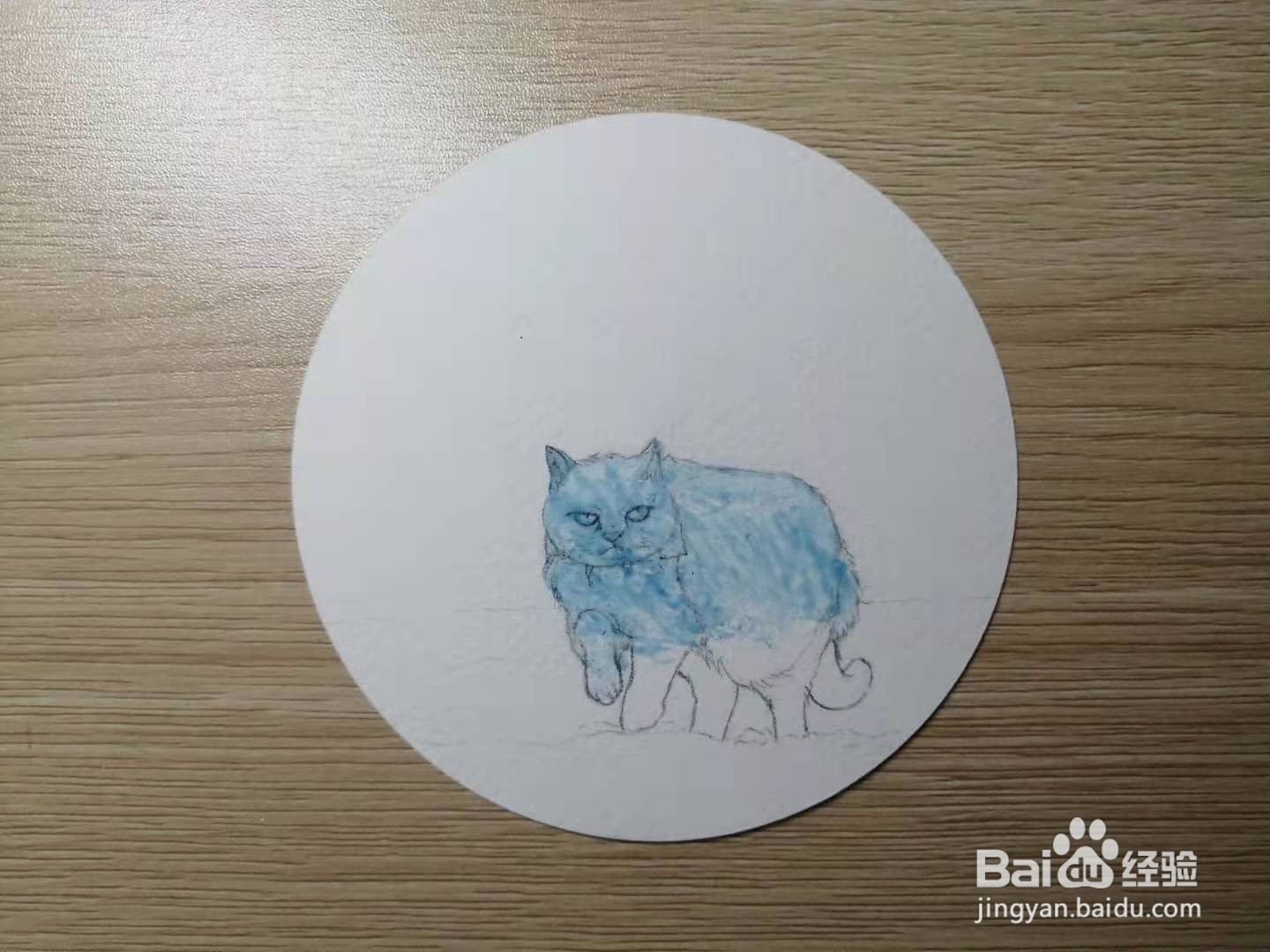 如何画故宫系列的水彩练习之《猫大王》