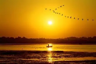 仰望星空,体味孤独,诗意栖居