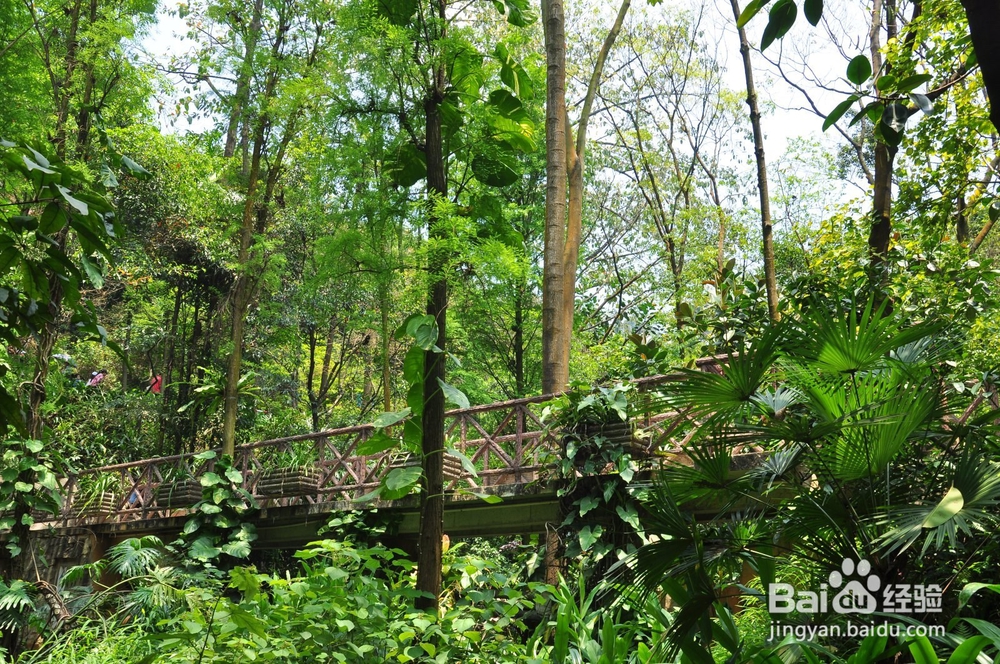 如何快速释放个人压力