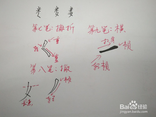 也的笔顺和书写规范