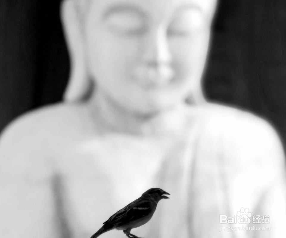 5个摄影小技巧，拍出碾压朋友圈的风光照！