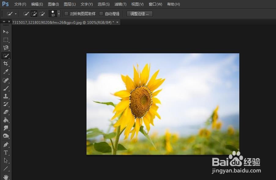 PS如何使用快速选择工具抠图