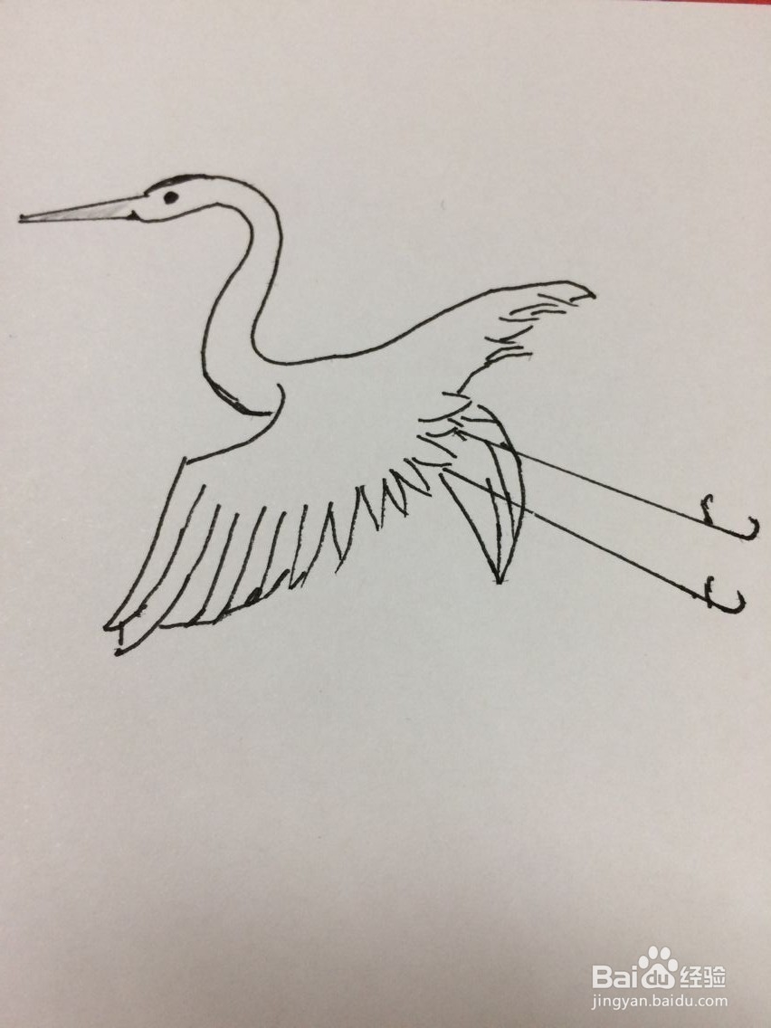 简笔画仙鹤的方法