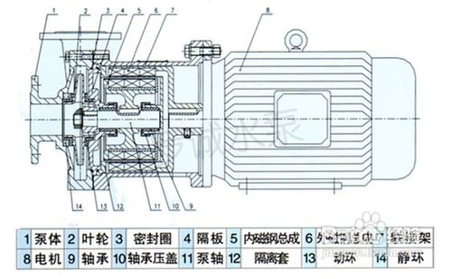 磁力泵的使用注意事项