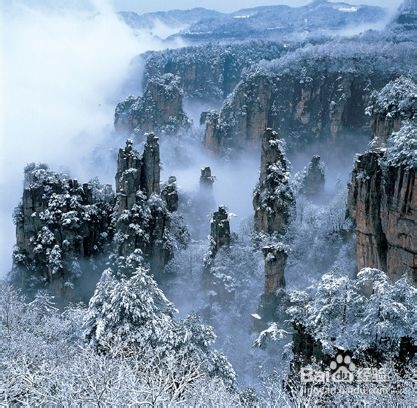上海到张家界旅游攻略
