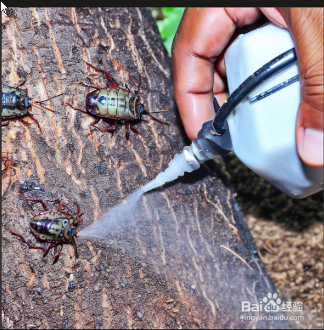 家庭榕树盆景怎么养