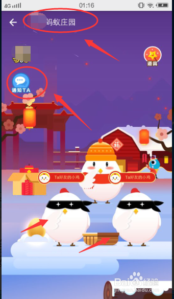 支付宝蚂蚁庄园怎么养鸡？怎么在支付宝上养鸡