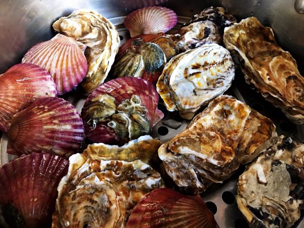 海鲜螺旋五彩意面