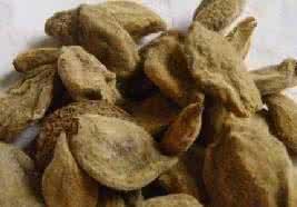 痒痒粉的简单制作方法