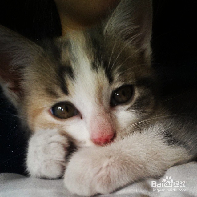 Show you how to Be Nice to a Girl