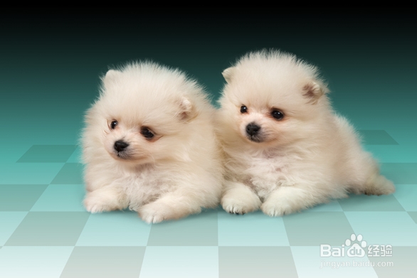 用调整边缘功能抠图：[3]抠图技巧