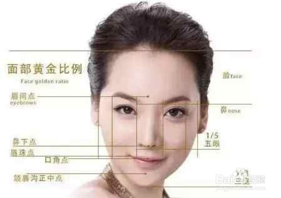 怎么判断是不是瓜子脸