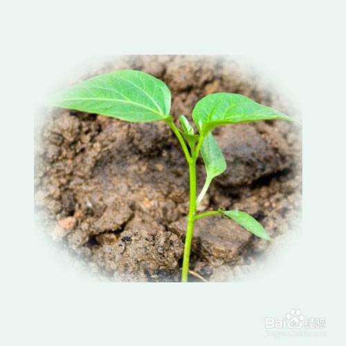 心里咨询师可以做什么工作?