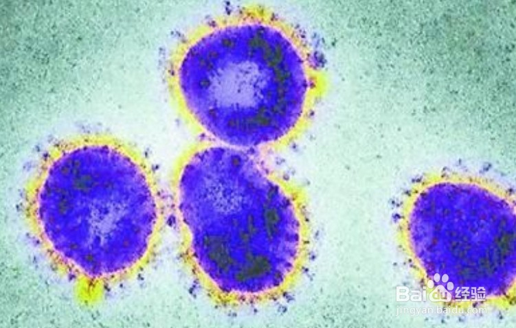 新冠肺炎的主要传播途径有哪些?如何预防?