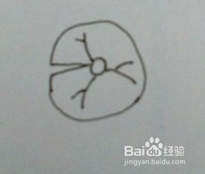 怎么画荷花的简笔画？