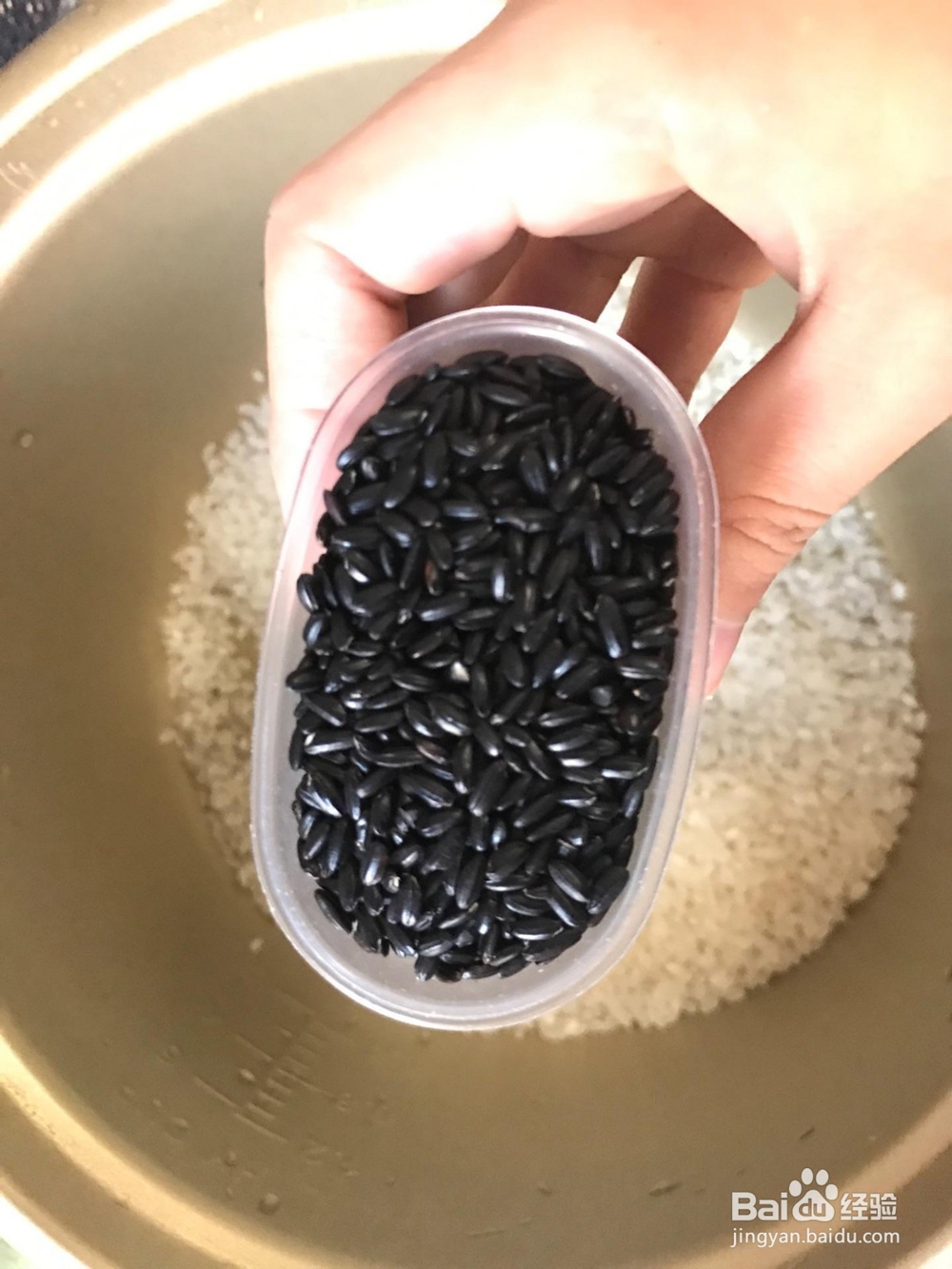 饮料贴牌厂的杯装五谷杂粮饮料