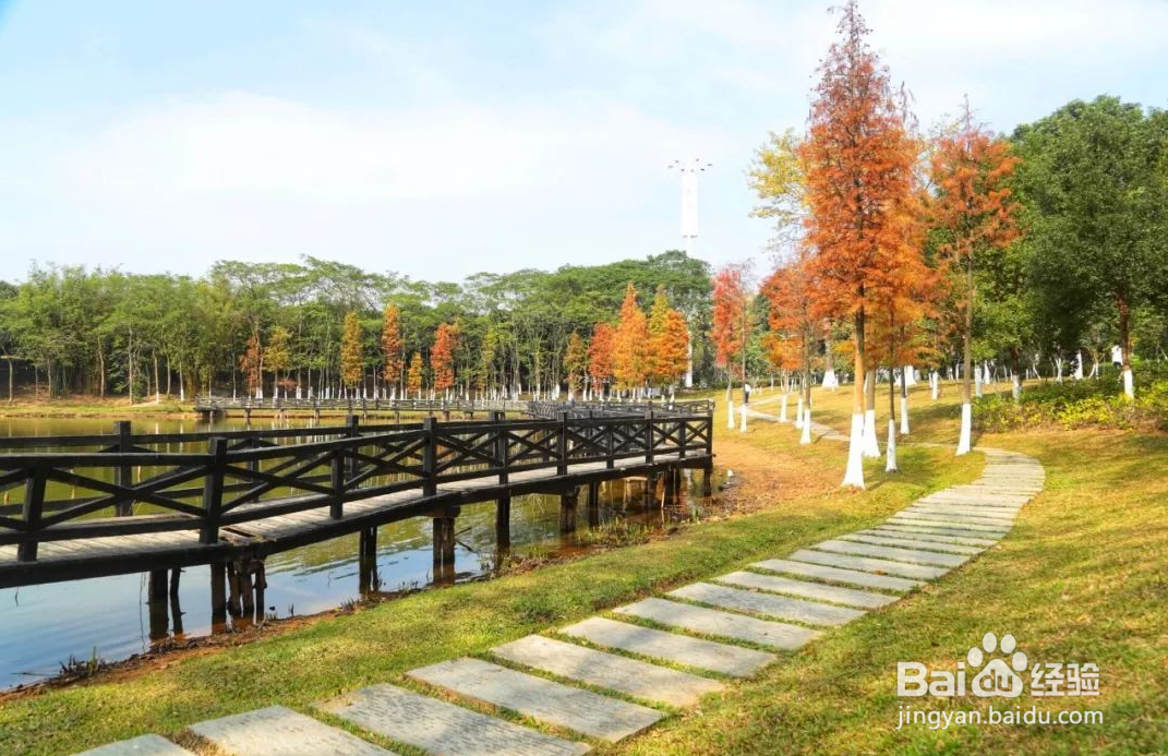 东莞哪里好玩的景点免费开放