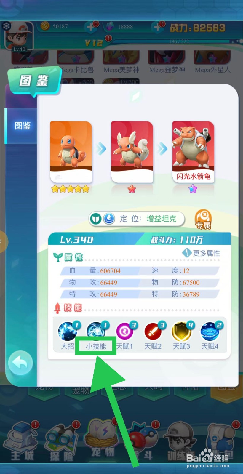 英雄魔法门如何查看闪光水箭龟的小技能