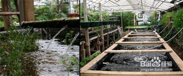 环保公司污水处理调试服务中需要注意哪些问题？