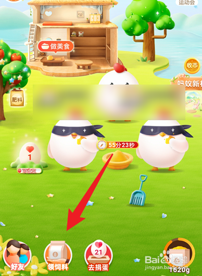 蚂蚁庄园与人类相比,鸟类的体温通常会