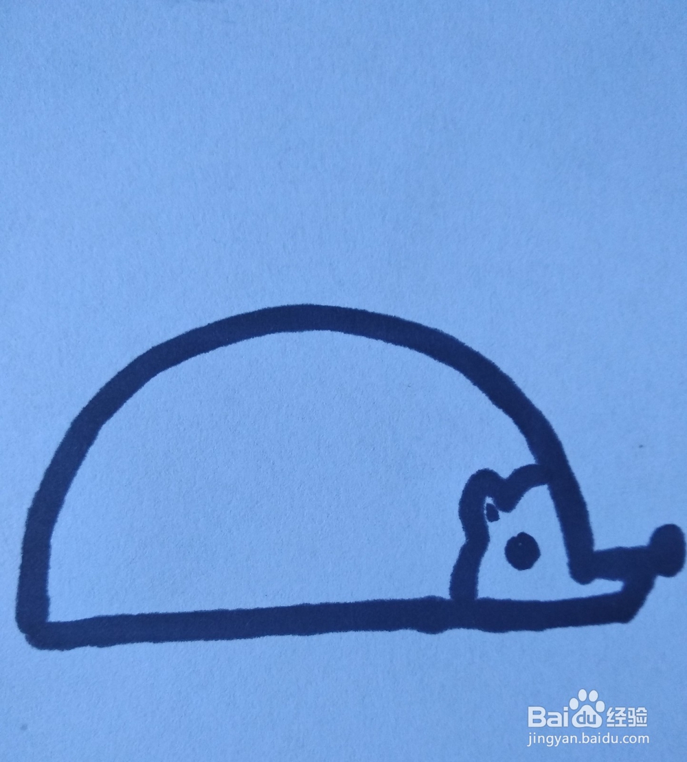小刺猬的简笔画怎么画