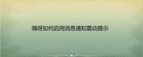 嗨呀如何启用消息通知震动提示