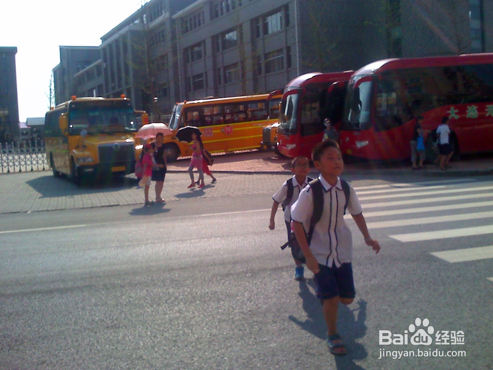 怎样告诉孩子安全过马路--21