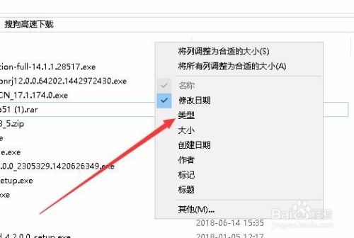 Win10系统怎么根据类型与大小管理下载的文件
