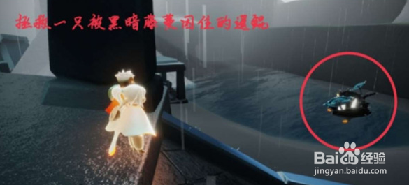 光遇1.10每日任务怎么完成