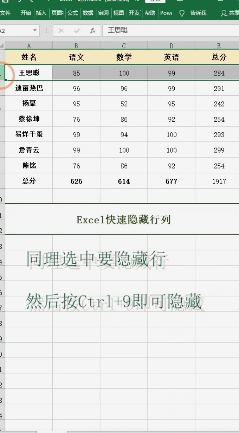 Excel隐藏行列内容
