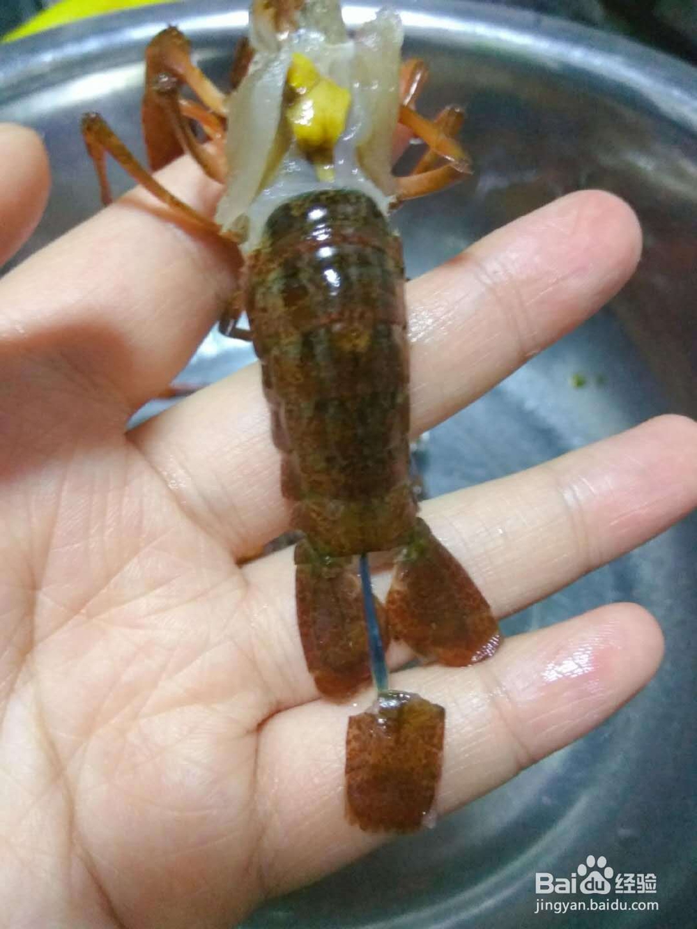 好吃不腻的小龙虾两吃微辣蒜蓉