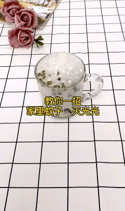 怎样消灭家里的蚊子