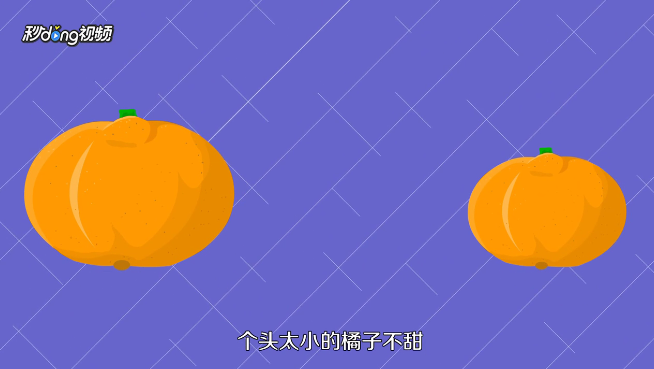 怎么挑选又甜又好的橘子?