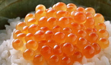 鱼子为啥不能让女生吃