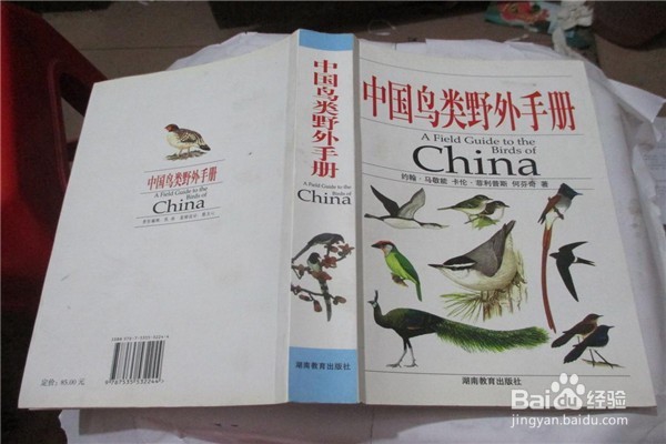 观赏迁徙候鸟全攻略