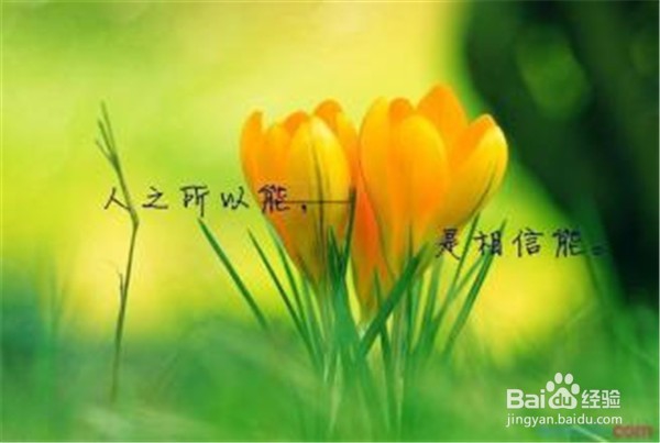 高三学生的“心灵鸡汤”