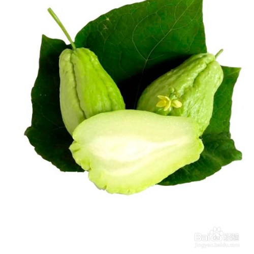 矮瓜怎么做好吃