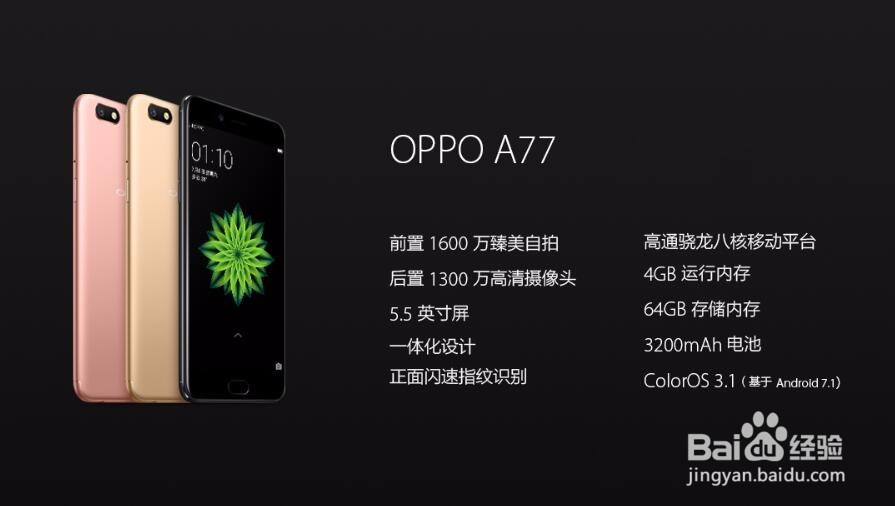 一张图读懂OPPOA77!