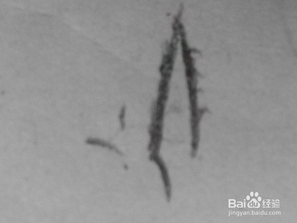 原创动漫人物的眼睛十五