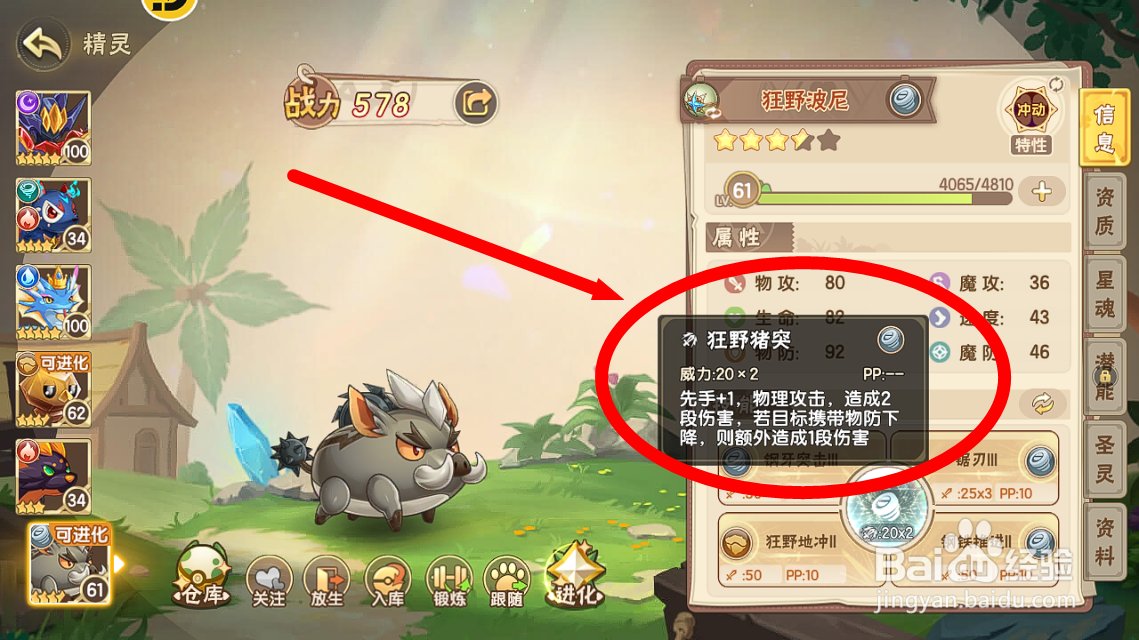西普大陆怎么看狂野波尼【狂野猪突】技能