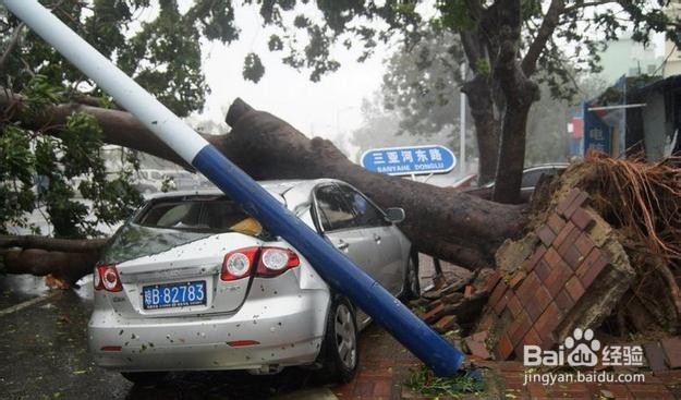 台风来袭该怎么办