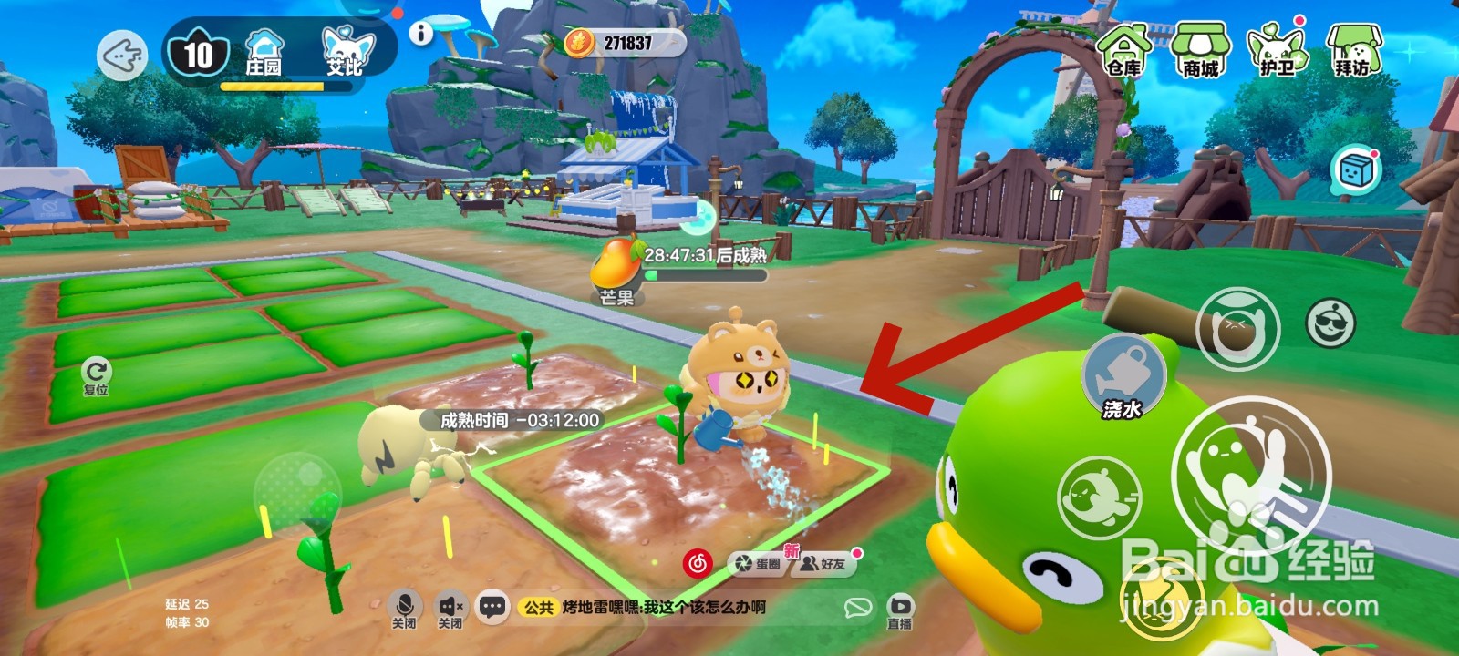 蛋仔派对游戏中给芒果浇水的教程