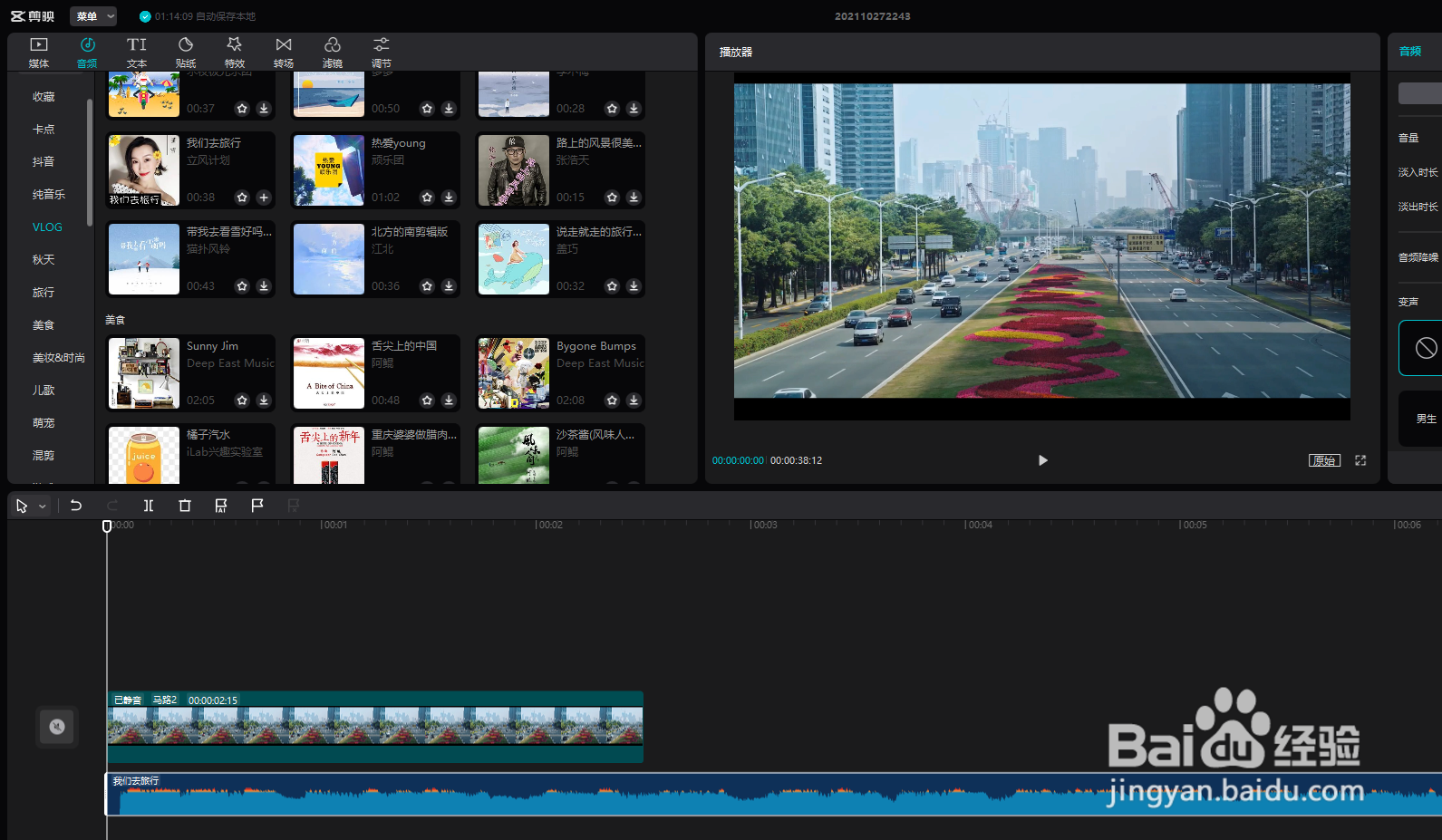 剪映专业版如何调整人声音色?